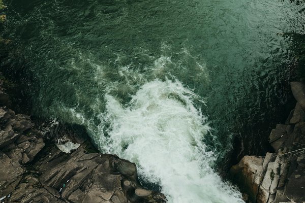 Les meilleurs souvenirs à créer en provence pour vos vacances